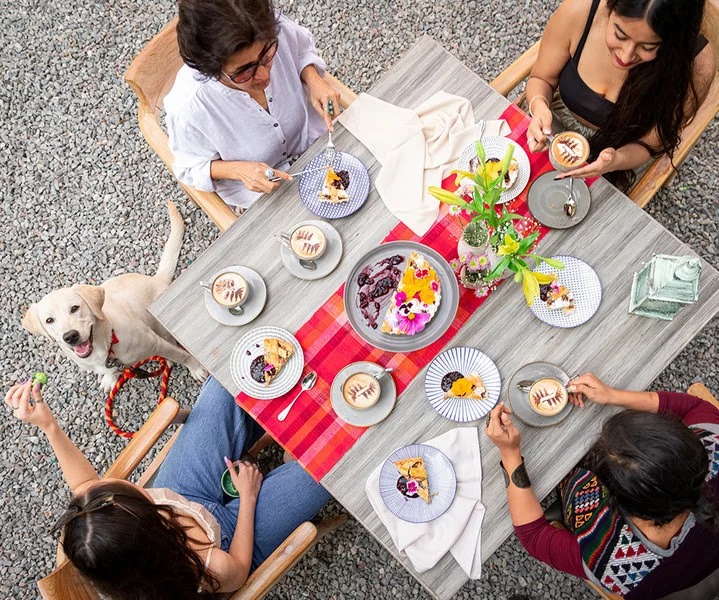 a family enjoying vacations with their pet at pet friendly & best resort near gurugram.