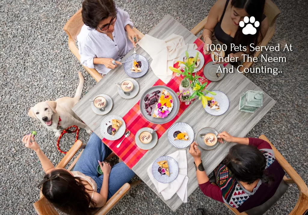 A family dining with their pet Dog at the premium Gurugram resort - karma chalets