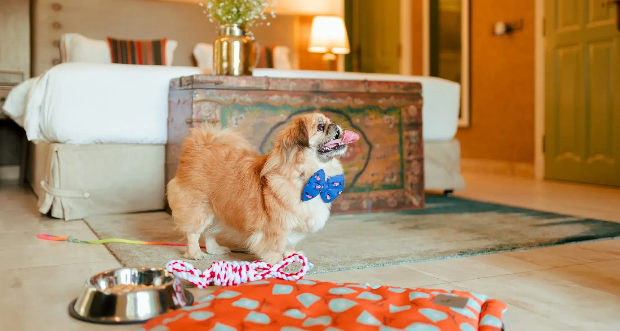 Paw-some Days package amenities for dogs at Karma Chalets